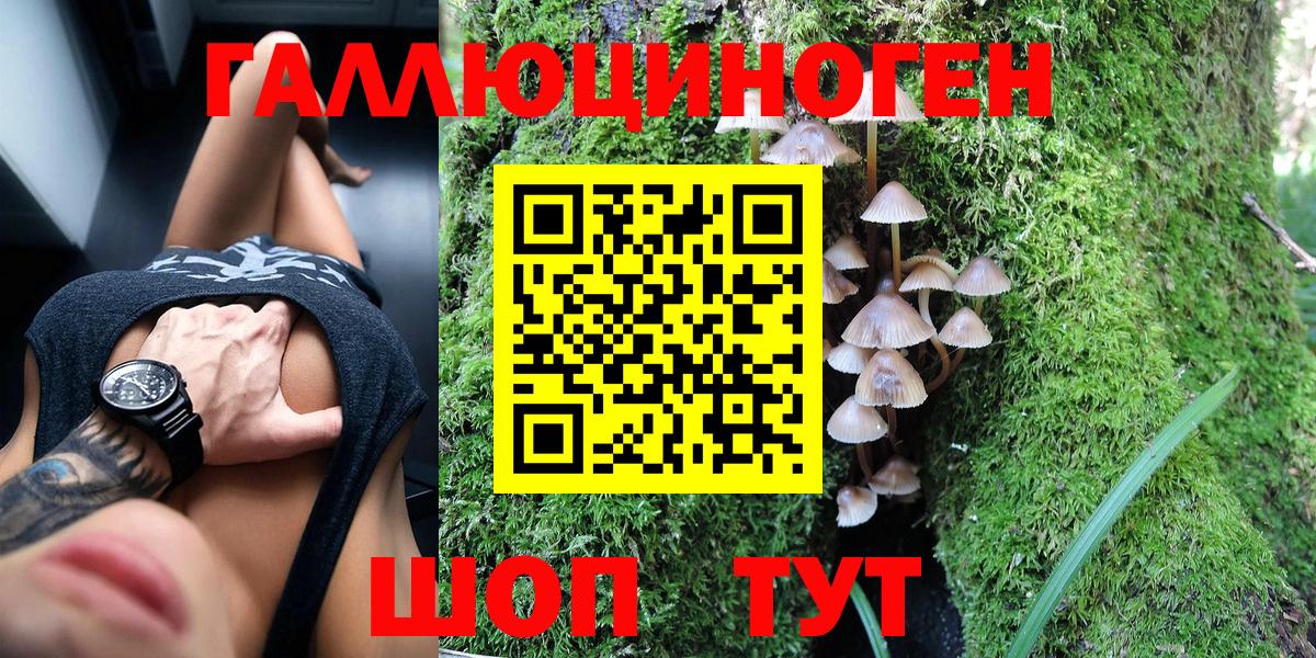 Псилоцибиновые грибы Psilocybe Жуковский