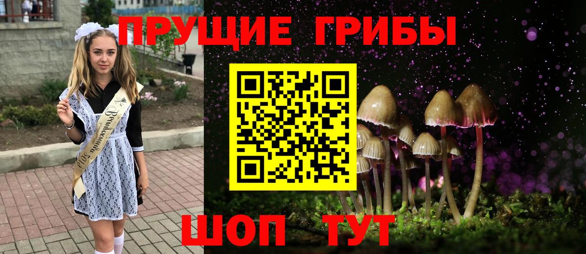 Псилоцибиновые грибы мицелий  где купить   Вход с VPN  Жуковский  Галлюциногенные грибы ЛСД 