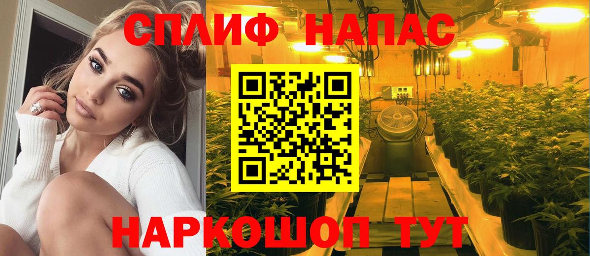 Марихуана гибрид Жуковский